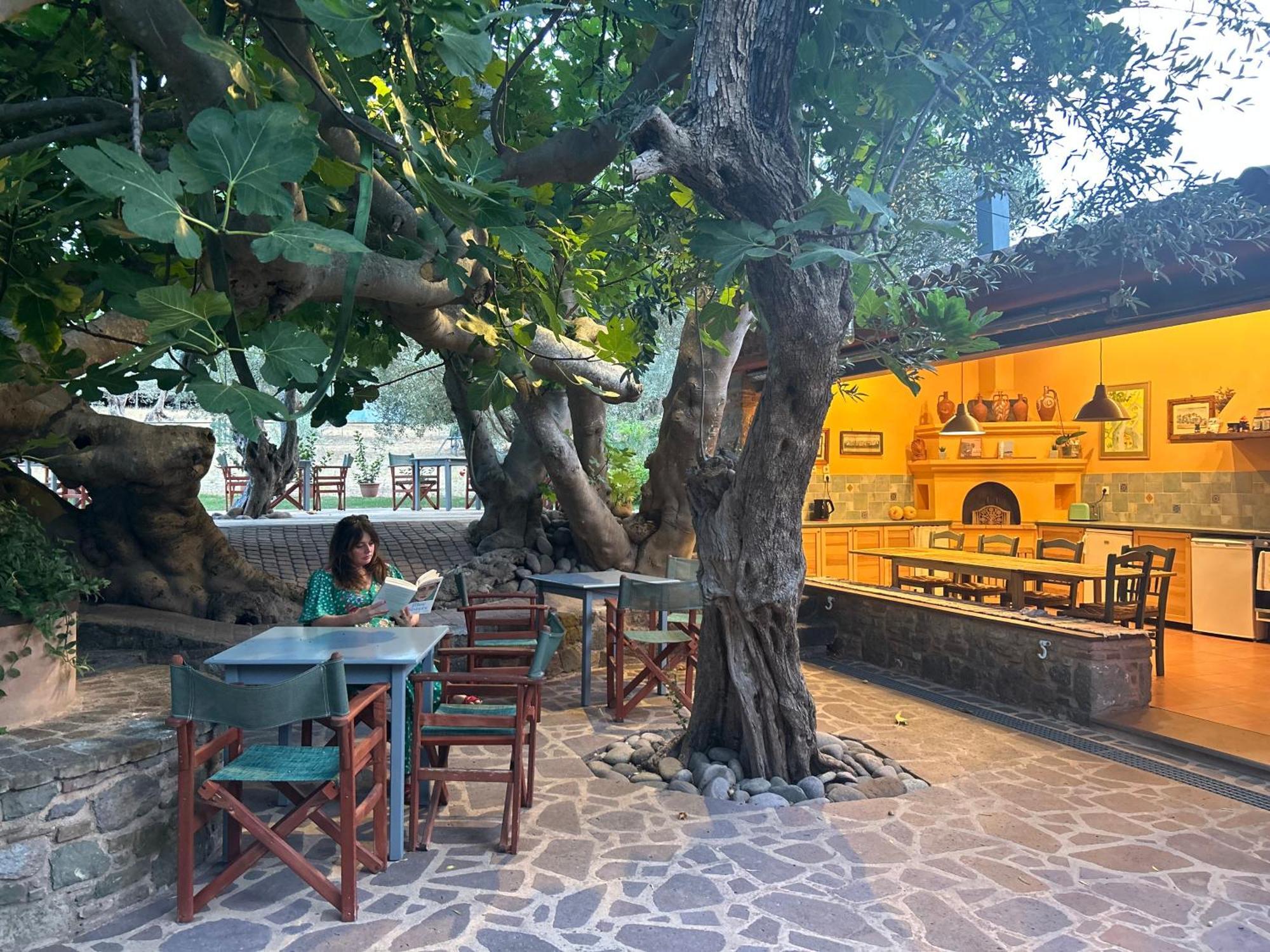 Villa Daphnis & Chloe Pyrgi Thermis ภายนอก รูปภาพ